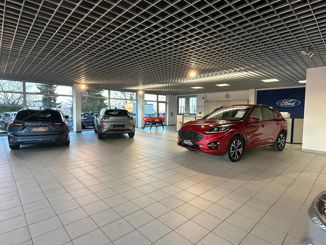 dealer showroom